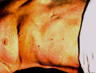 images/thumbs/Fall3Courvoisier.png